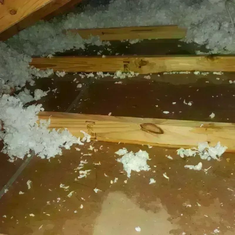 Attic Water Damage in Park City, KS