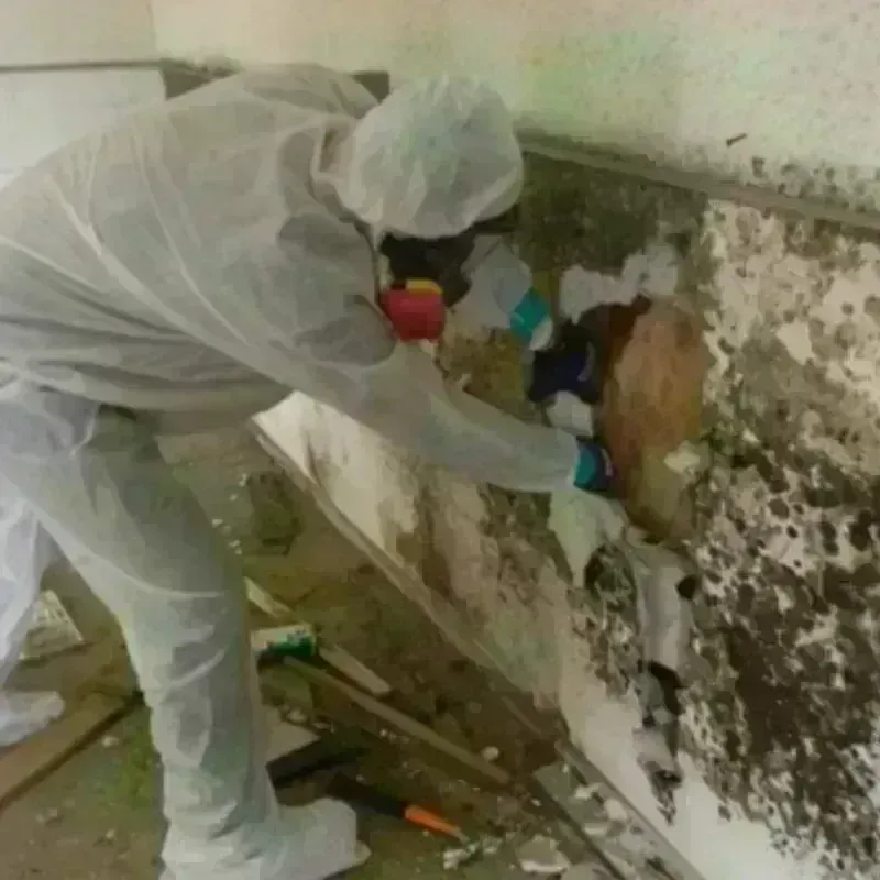 Mold Remediation and Removal in Park City, KS